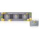 Yankee Candle Black Tea & Lemon 3 x 37 g