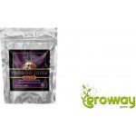Advanced Nutrients Voodoo Juice Plus 10 ks – Hledejceny.cz