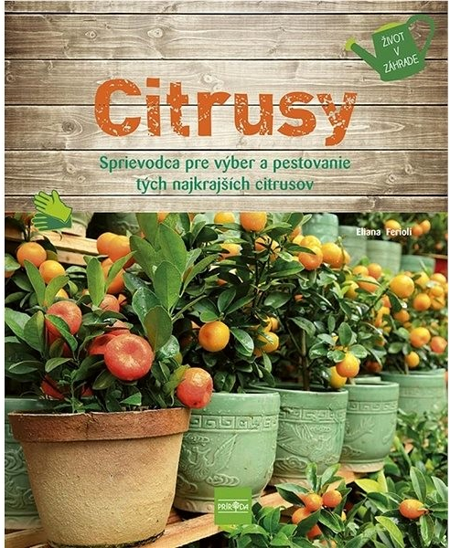 Citrusy