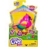 Little Live Pets Pták Lil Bird Pippy Hippy – Zbozi.Blesk.cz