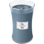 WoodWick Tempest 275 g – Zboží Mobilmania