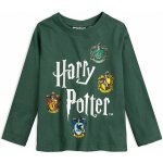 Chlapecké tričko HARRY POTTER ZMIJOZEL zelené – Zboží Dáma