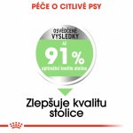 Royal Canin Medium Digestive Care 3 kg – Hledejceny.cz