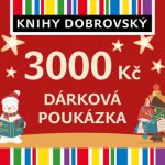 Vánoční elektronická dárková poukázka 3000 Kč – Sleviste.cz