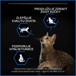 Pro Plan Senior Longevis losos 3 kg – Hledejceny.cz