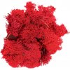 Secret Live Moss Blood Red 5 g