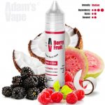 Adams Vape Shake & Vape Berry Fruit 10 ml – Zboží Dáma
