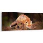 Obraz - Lišák v lese, jednodílný 120x50 cm – Hledejceny.cz
