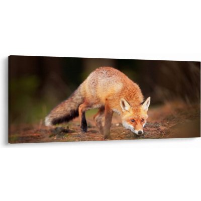 Obraz - Lišák v lese, jednodílný 120x50 cm – Hledejceny.cz