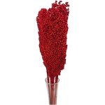 Sušina Sorgo x5pc rosso – Hledejceny.cz