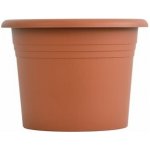 obal d21cm Narcis TER – Hledejceny.cz