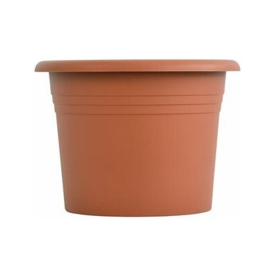 obal d21cm Narcis TER – Hledejceny.cz