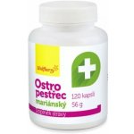 Wolfberry Ostropestřec mariánský 120 kapslí – Hledejceny.cz