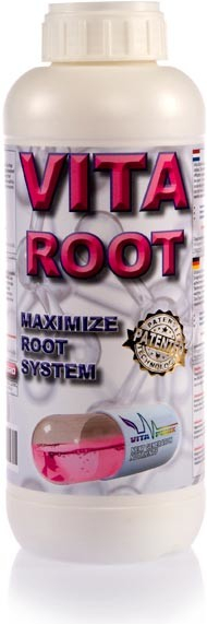 VitaPonix Vita Root 5l