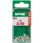 Spax Uni vrut půlkul.hlava T-Star plus T10 S-CUT pln.závit Wirox 3 x 10 mm 30 ks – Hledejceny.cz