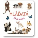 Mláďatá – Hledejceny.cz