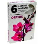 Admit Tea Lights Orchid 6 ks – Sleviste.cz