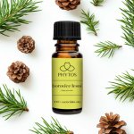 Phytos Borovice 100% esenciální olej 10 ml – Hledejceny.cz