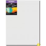Octopus Professional malířské plátno 350 g 60 x 80 cm – Zboží Mobilmania