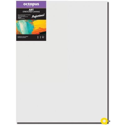 Octopus Professional malířské plátno 350 g 60 x 80 cm – Zboží Mobilmania