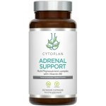 Cytoplan Adrenal support komplex pro nadledviny 60 vegan kapslí – Hledejceny.cz