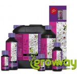 Atami B´cuzz Bloom Stimulator 1 l – Zboží Dáma