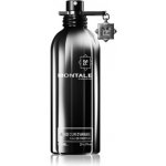 Montale Aoud Cuir d'Arabie parfémovaná voda pánská 100 ml – Hledejceny.cz