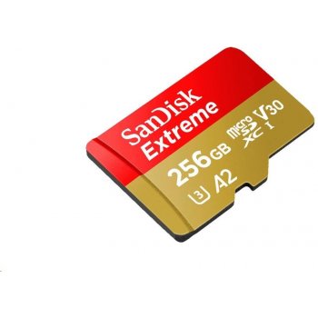 SanDisk microSDXC 256 GB SDSQXA1-256G-GN6MA