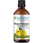Bioherba Přírodní tinktura kotvičník zemní tribulus terestris 100 ml – Hledejceny.cz