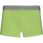 Kariban pánské boxerky K800 1TE-K800-Lime – Zboží Dáma