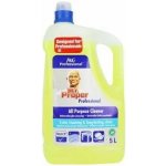 Mr. Proper proffesional 5 l – Hledejceny.cz