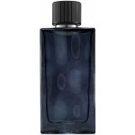 Abercrombie & Fitch First Instinct Blue toaletní voda pánská 100 ml – Hledejceny.cz