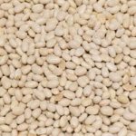 Život bez lepku Fazole malá bílá 5 kg – Zboží Dáma