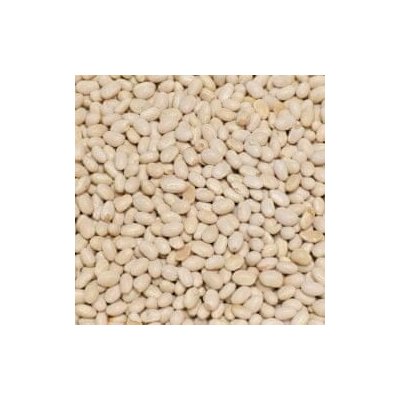 Život bez lepku Fazole malá bílá 5 kg – Zboží Dáma