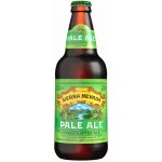 SIERRA NEVADA Pale ALE 5,6% 0,355 l (sklo) – Hledejceny.cz