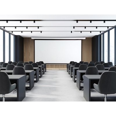 AVELI 488x366 4:3 240" - XRT-00179 – Zboží Mobilmania