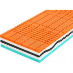 Tropico Amundsen 1+1 – Sleviste.cz