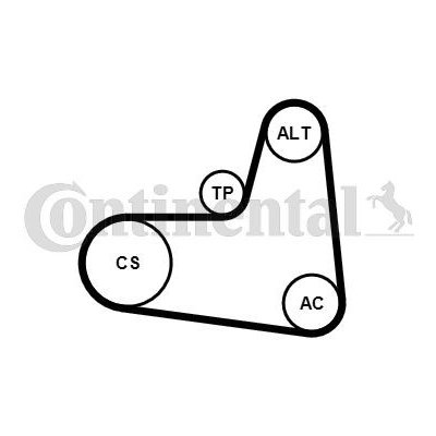 Sada žebrovaných klínových řemenů CONTINENTAL CTAM 6PK1005K1 – Hledejceny.cz