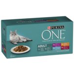 Purina ONE Adult hovězí jehněčí kuřecí mořské ryby 40 x 85 g – Hledejceny.cz