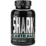 Shark Cartilage FitBoom 100 kapslí – Hledejceny.cz
