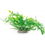 JK Animals Ludwigia zelená 14–17 cm – Zboží Mobilmania