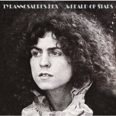 Tyrannosaurus Rex - A Beard Of Stars CD