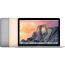 Apple MacBook MLH82CZ/A