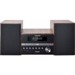 BLAUPUNKT MS45BT – Zboží Živě