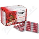 Dr.Müller Urosept Forte 60 kapslí – Hledejceny.cz