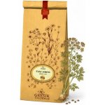 Grešík Celer semeno 50 g – Zbozi.Blesk.cz