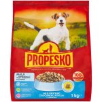 Propesko Adult 1 kg – Zbozi.Blesk.cz