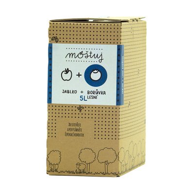 Moštuj Mošt Jablko a borůvka lesní 5L – Hledejceny.cz
