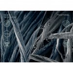 AEG L8FNC68SC – Hledejceny.cz