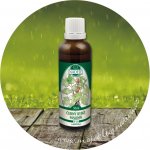 Naděje Černý rybíz maliník tinktura z pupenů rostlin 50 ml – Hledejceny.cz